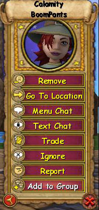 Wizard101 Friends List